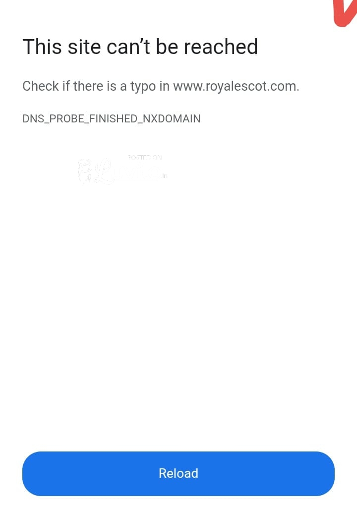 Vadodara Royal call girl service in different and college girl house  available